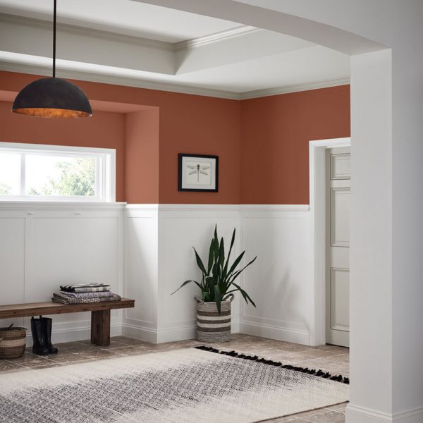 Fall 2020 Color Trends - Clay