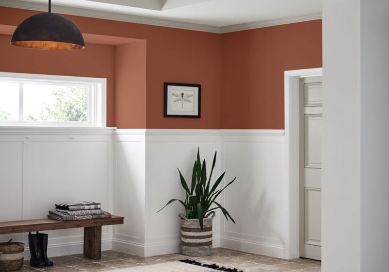 Fall 2020 Color Trends - Clay