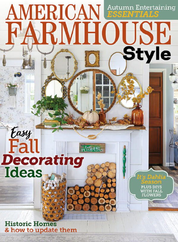 Our Modern Mountain Hangout Project is Featured in American Farmhouse Style!